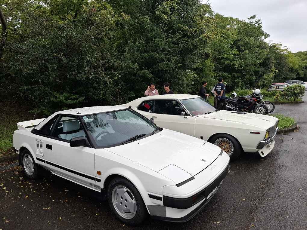 251019maiko (29).jpg